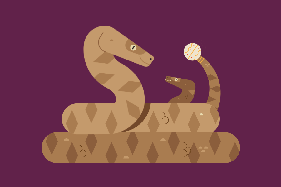 Rattlesnake fun fact animation