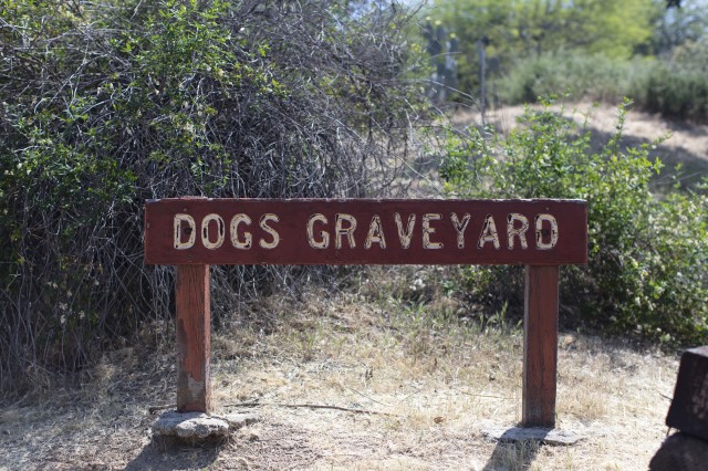 Dogs Graveyard at Hart Park