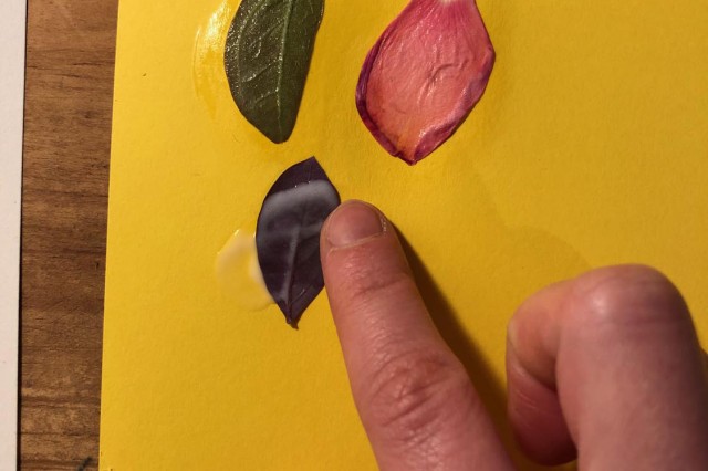 Rub plant material onto paper to make sure the glue holds