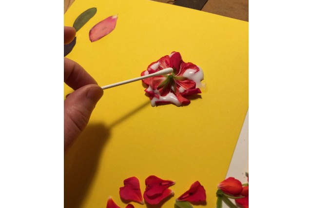 Using cotton swab to press down flowers onto the page