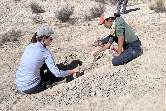 Red Rock State Park Excavating a stubborn camel radius 