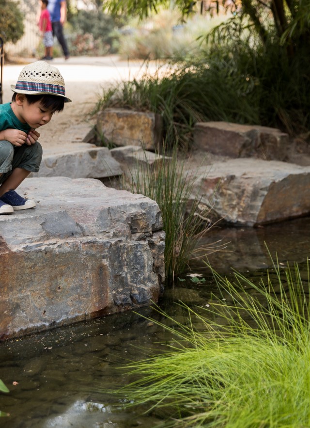 Little boy in hat crouches on a low rock ledge and looks into the nature gardens pond