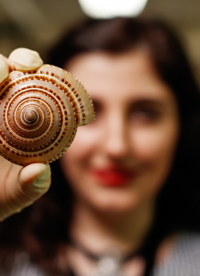 Woman holds sundial shell 