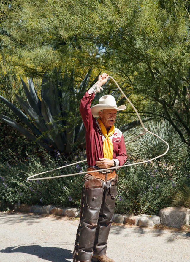 Cowboy with lasso at the Cowboy Festival