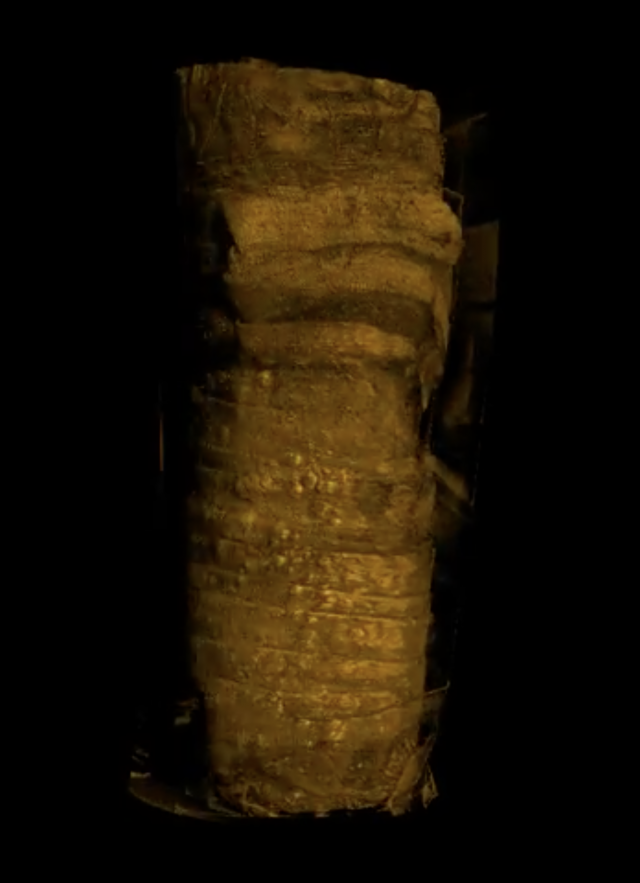 Still image of CAT scan of a mummified cat