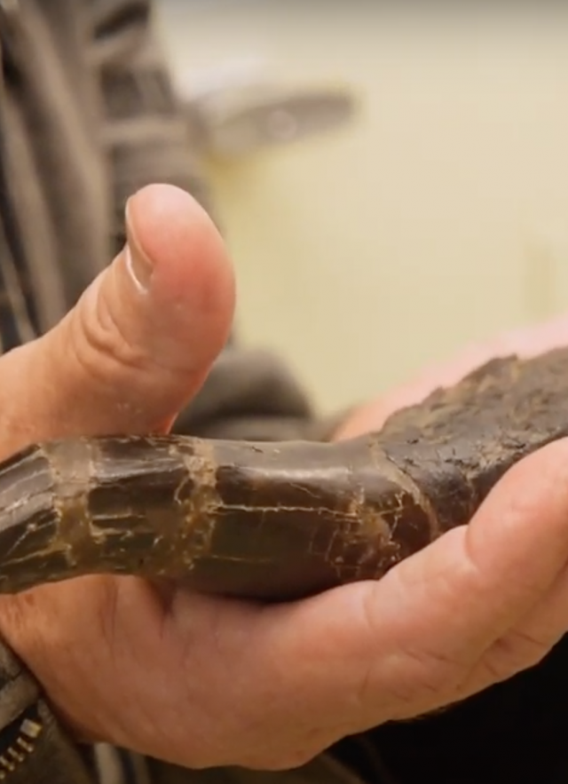 Crash McCreery holding dinosaur fossil