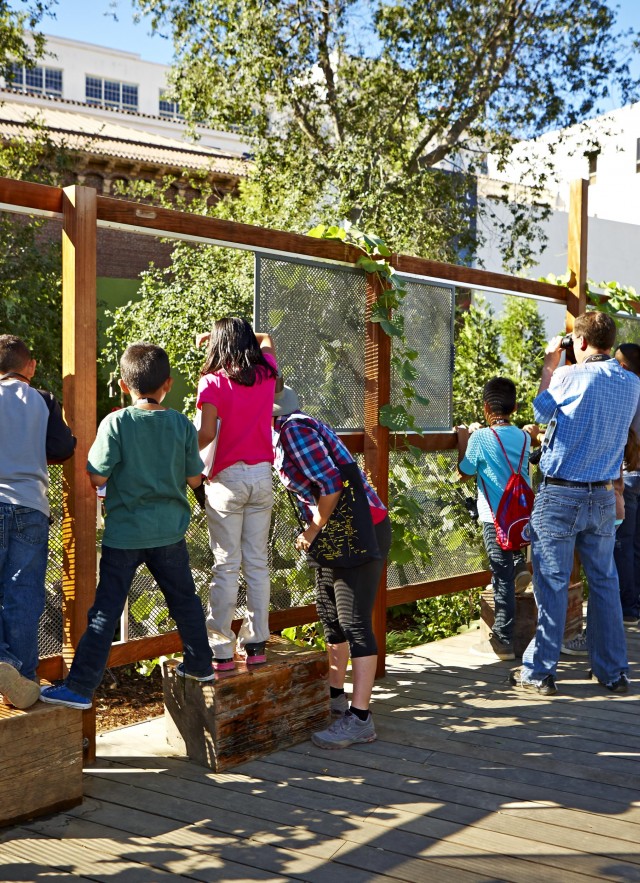 Students birdwatching in Nature Garden