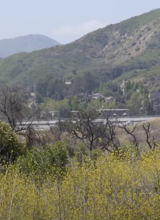 Liberty Canyon BioBlitz 2022 City Nature Challenge