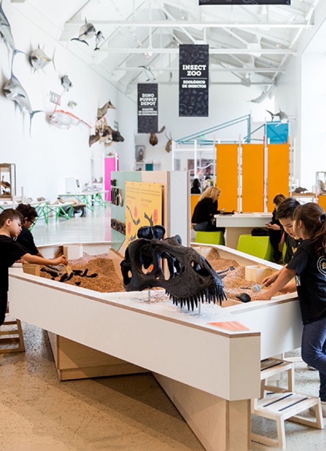 Children standing around the Paleo Play Zone, a counter with imitation sand and fossils, with mounted taxidermy up high on the wall in the background