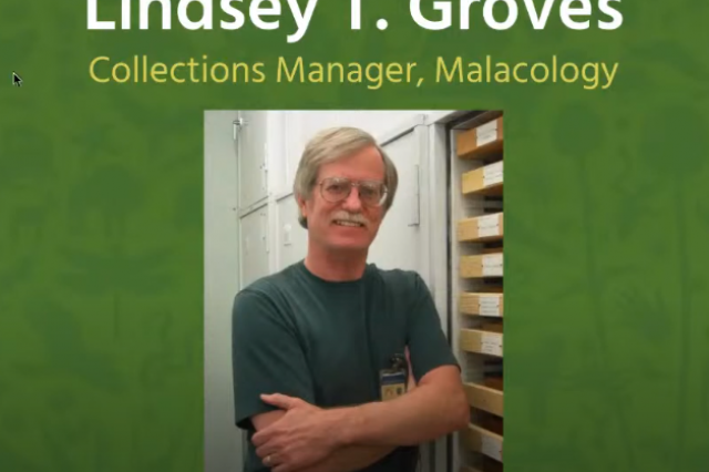image of malacology collections manager