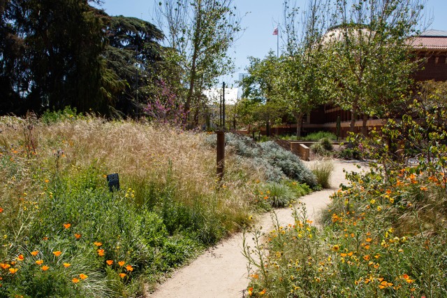 A path with flowers and plants on either side, facing the 1913 building in the distance at the Natural History Museum of Los Angeles County