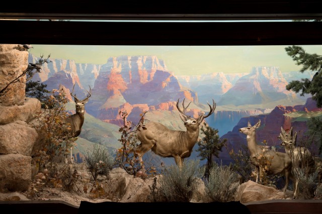 North American Diorama Hall