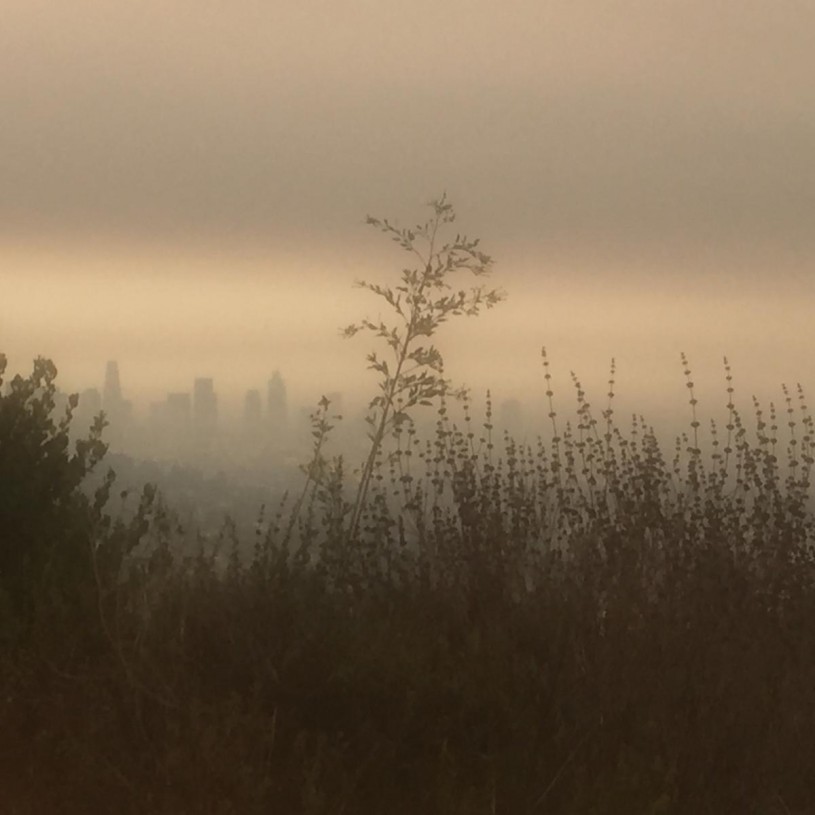 Firehaze: View of Downtown Los Angeles from Griffith Park through the smoke. 
