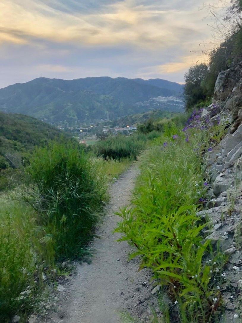 A hiking trail, lined with greenery with mountains in the distance.