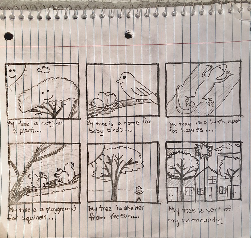 Story-board style drawings telling the story of a neighborhood tree