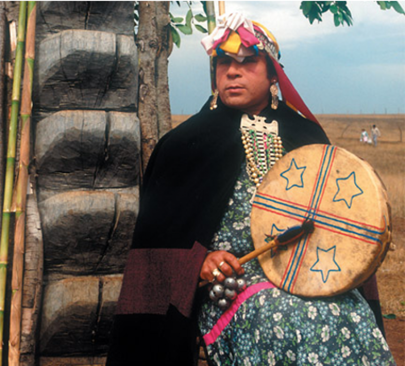 Mapuche Alone