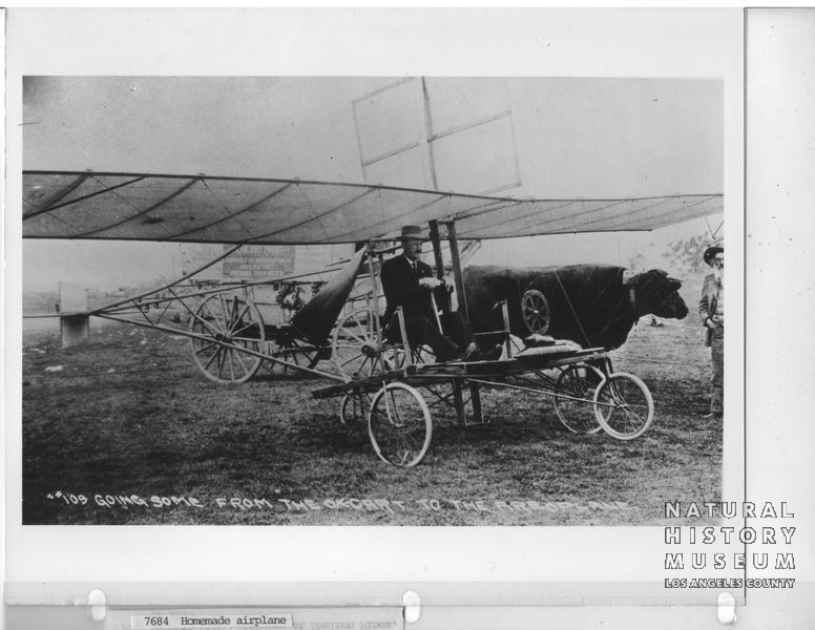 Early Airplane and Ox Cart
