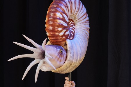 PHand holding a pink and brown ammonite puppet with tentacles and a spiral shell